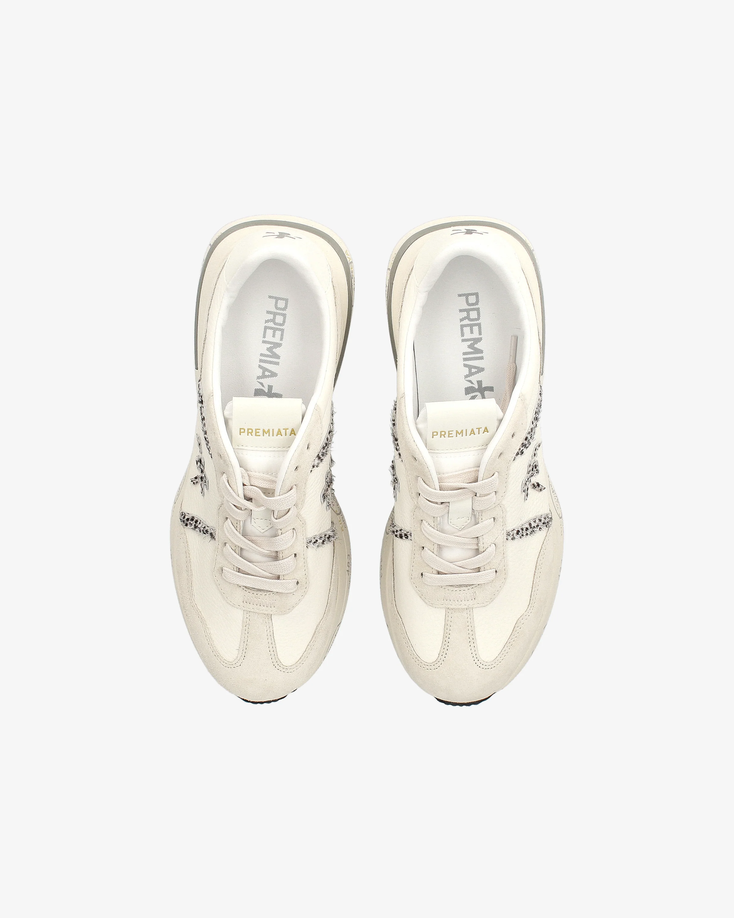 CASSIE  7682 - Image 6